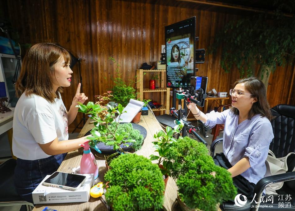 江蘇沭陽的花木電商女主播正在直播帶貨。丁華明攝