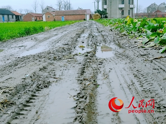 蔡渡村中心路原來(lái)的“水泥”路。村民供圖