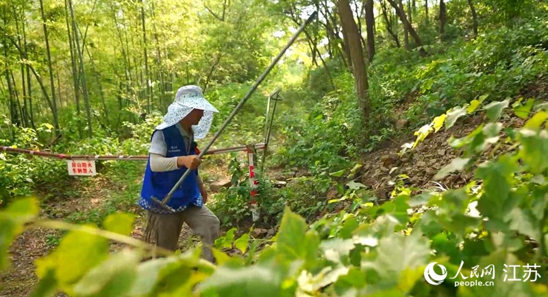 邢庭譽(yù)在巡山。浦軒攝