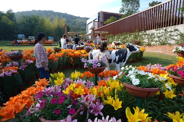 花谷奇緣景區(qū)。金壇茅山旅游度假區(qū)供圖