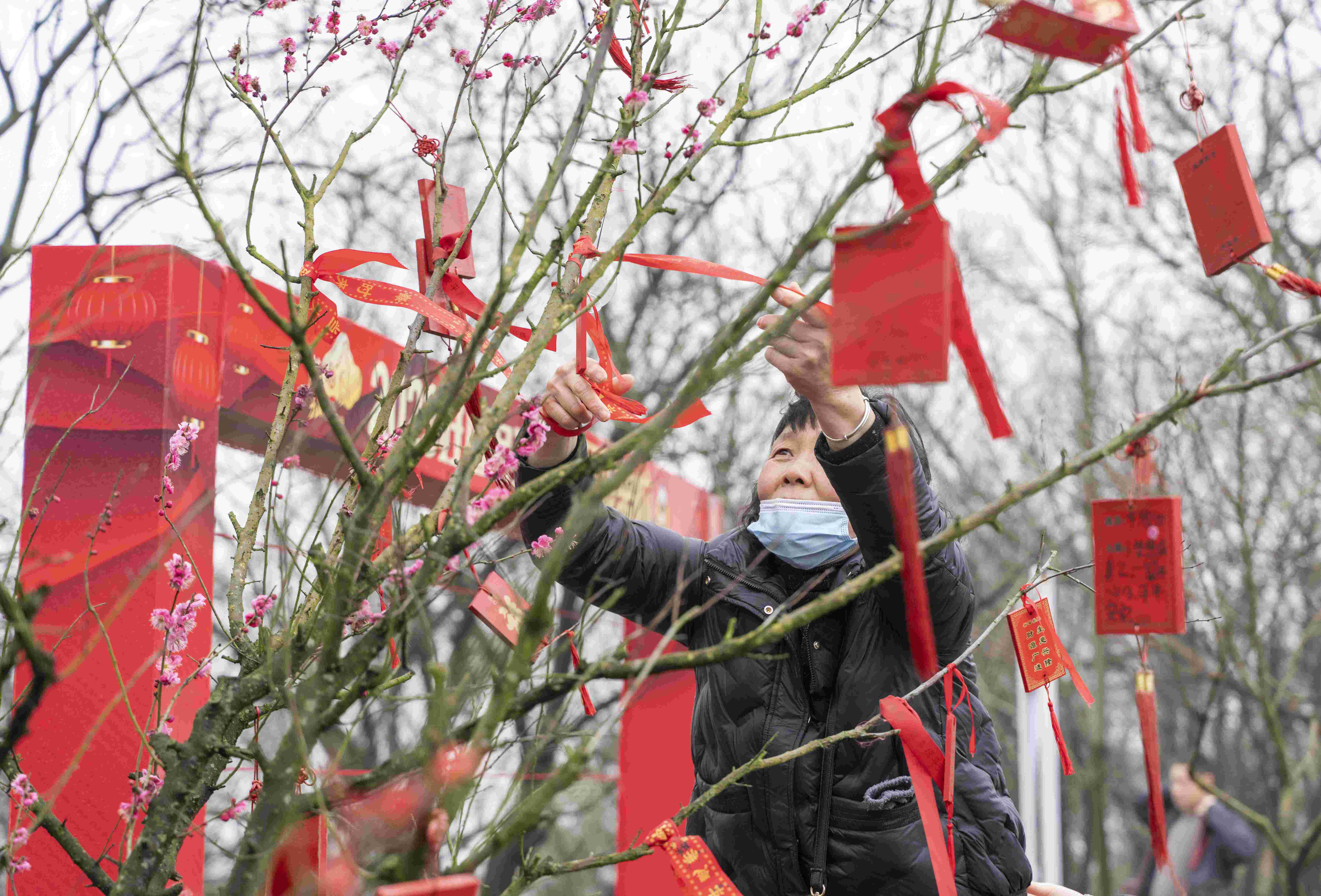 來(lái)“曬霉”的市民游客將許愿牌懸掛于樹上。劉列攝