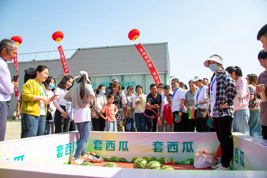 市民游客參加套西瓜活動。馮雪強(qiáng)攝