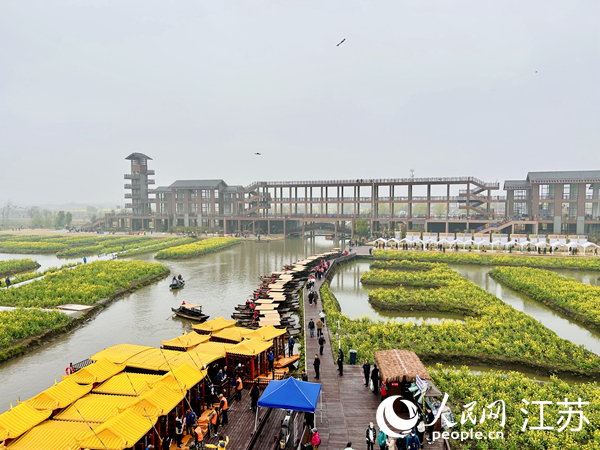 興化千垛菜花旅游節(jié)期間，游客前來(lái)打卡。人民網(wǎng) 王丹丹攝