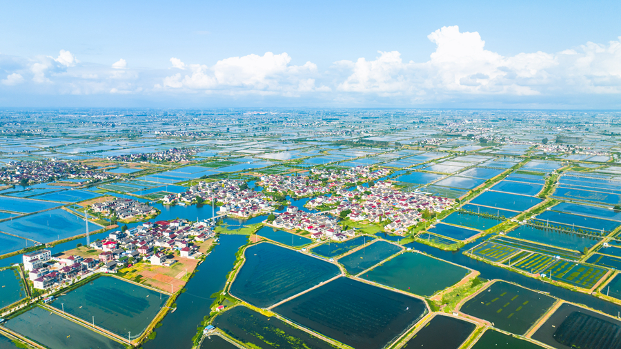 航拍興化市大閘蟹養(yǎng)殖基地。周社根攝