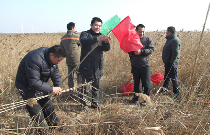 野鹿蕩的建設(shè)過程。鹽城市委宣傳部供圖