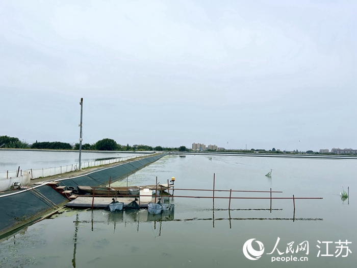 改造完成的生態(tài)大閘蟹產(chǎn)業(yè)示范園。人民網(wǎng) 王丹丹攝