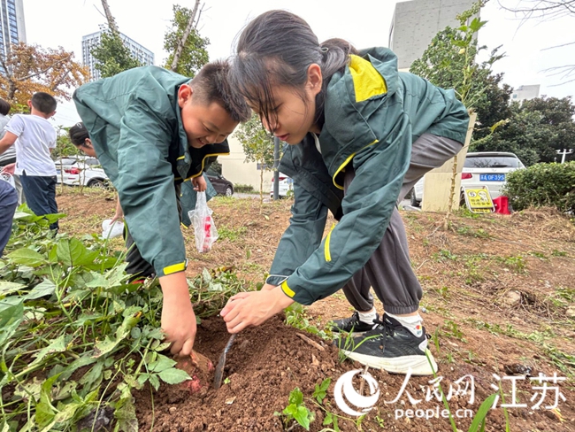 小學(xué)生在行知基地開展學(xué)農(nóng)實踐。人民網(wǎng)記者 顧姝姝攝