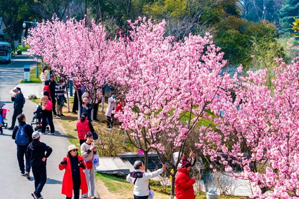 活動(dòng)現(xiàn)場(chǎng)。南京玄武湖景區(qū)供圖