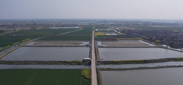 戴窯鎮(zhèn)通村公路修到田間地頭。孫湛攝