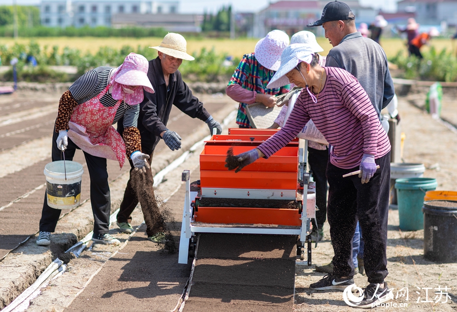 農(nóng)民們操作育秧機(jī)。人民網(wǎng) 范堯攝