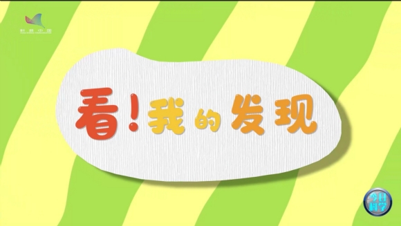 《今日科學(xué)》|今日分享：看！我的發(fā)現(xiàn)（1）