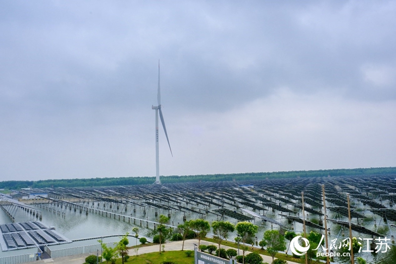 鹽城東臺市“風光漁”互補產業(yè)基地。 人民網(wǎng) 常雨薇攝