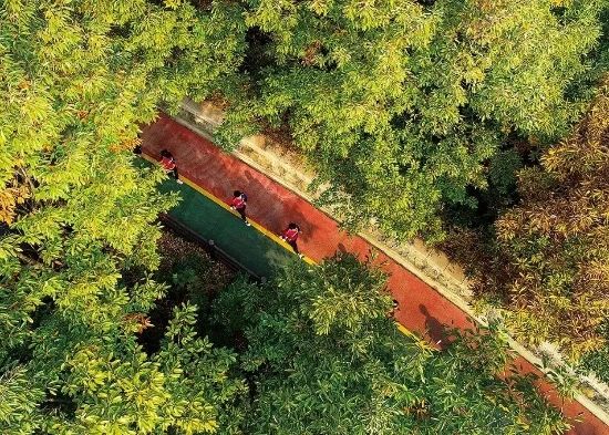 連云港北固山森林公園綠道