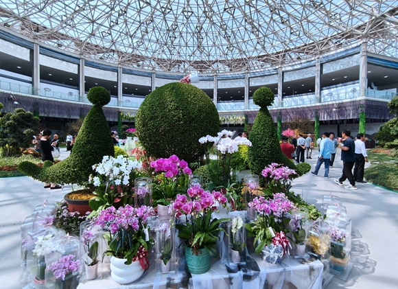 中國花谷2024金秋花木交易會現(xiàn)場。丁華明攝