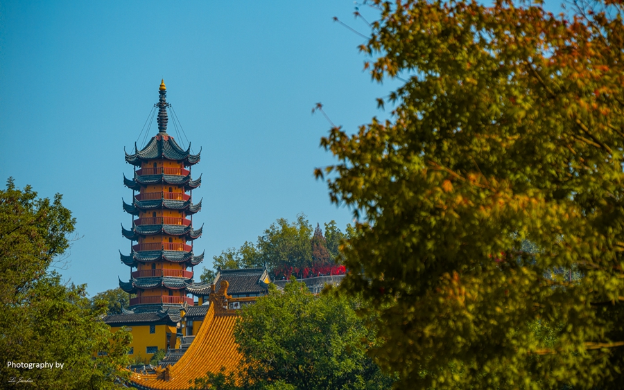 金山寺景色怡人。陸建華攝